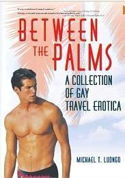 Between the Palms, from Haworth Press gay travel erotica, fantasymichael luongo gay sex tourism gay fun palm springs beaches